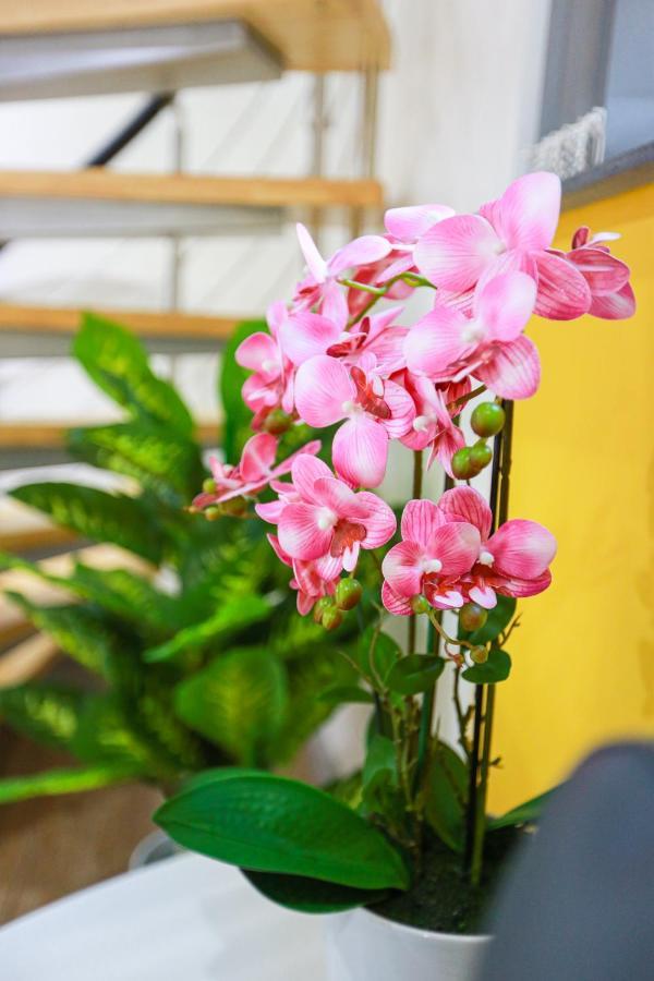 Apartamento A102 Cheery Bright Loft Coventry